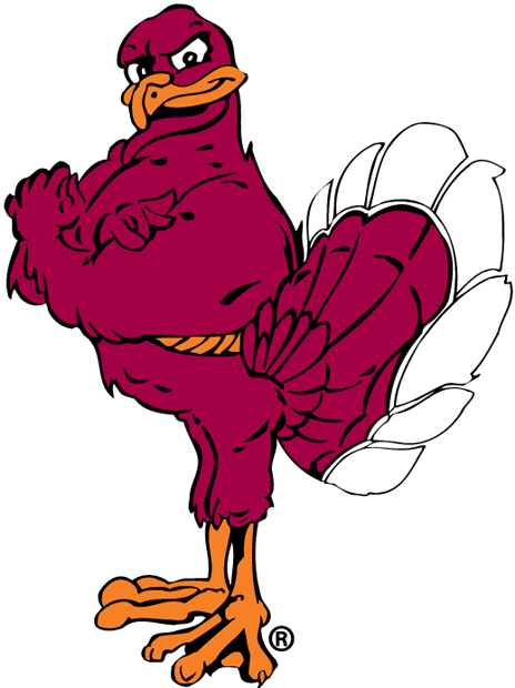 Virginia Tech Hokies 2000-Pres Mascot Logo v2 iron on transfers for clothing
